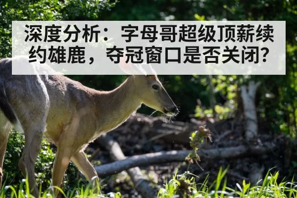 深度分析：字母哥超级顶薪续约雄鹿，夺冠窗口是否关闭？