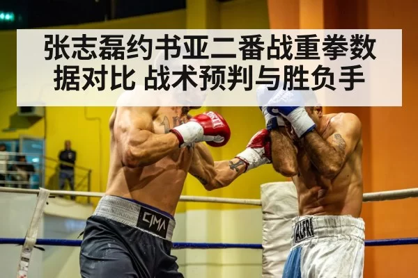 heavyweight boxing match