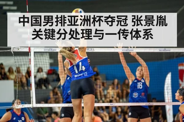 中国男排亚洲杯夺冠 张景胤关键分处理与一传体系
