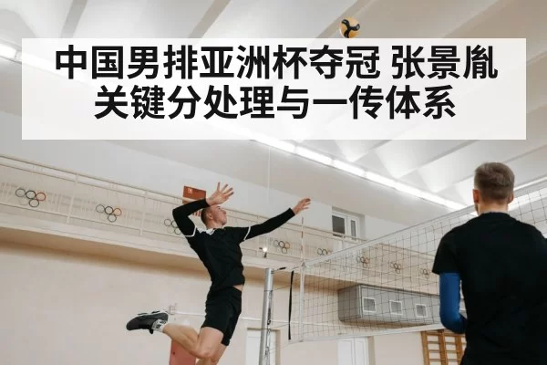 volleyball player spiking
