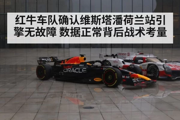 红牛车队确认维斯塔潘荷兰站引擎无故障 数据正常背后战术考量